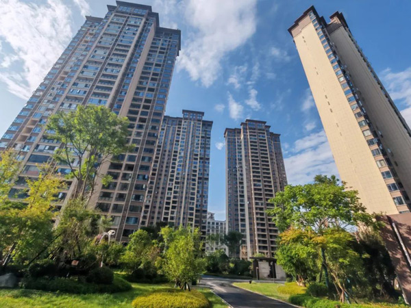 实地踩盘中环名座：现房品质与性价比全解析