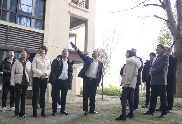 聚焦金钟央玺2月施工：多项目协同推进，交付在即