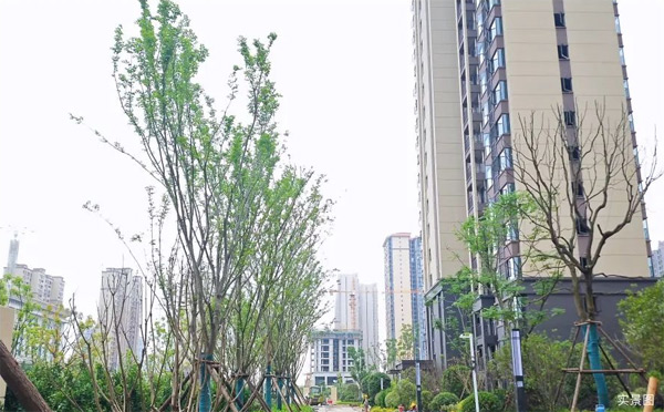 关注！衡阳中建和城壹品项目各工程施工进度更新