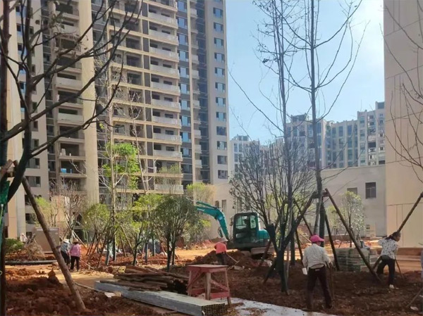 众联北城天悦施工进度大揭秘：二期收尾，三期起步