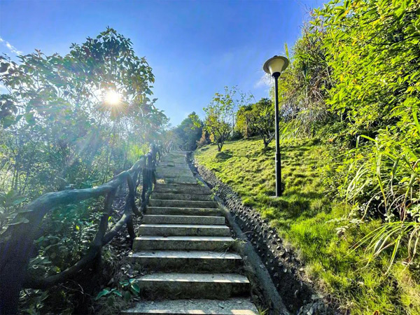 五岭城市中心的畔山花园：优质配套助力品质生活