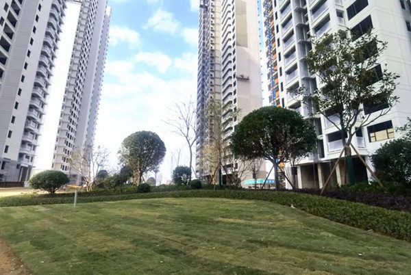 即买即装！石门碧水馨城江景三房，各楼栋施工新动态