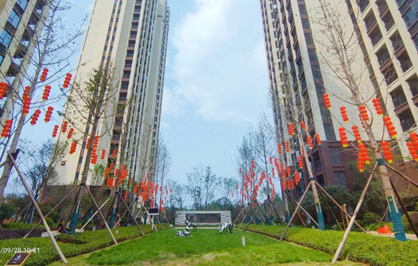 南县南洲府：一期顺利交付，开启品质人居新篇