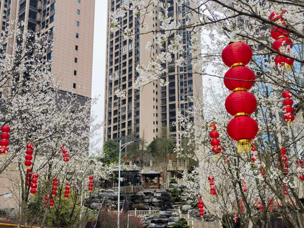 抄底郴州大平层！凤凰名邸179㎡，4300元/㎡起抢现房