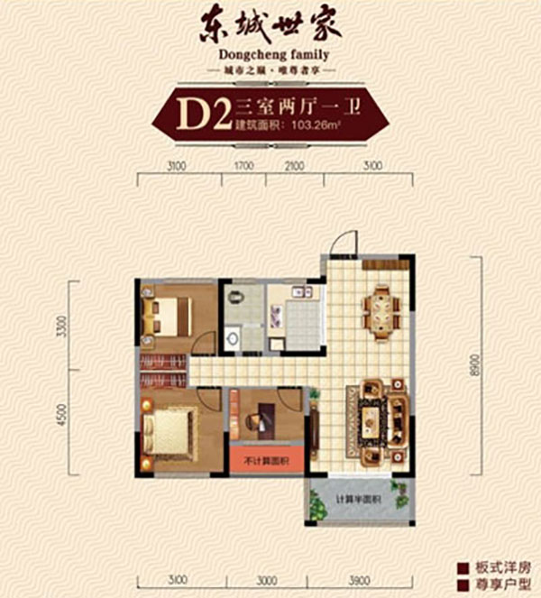 石门县东城世家D2户型