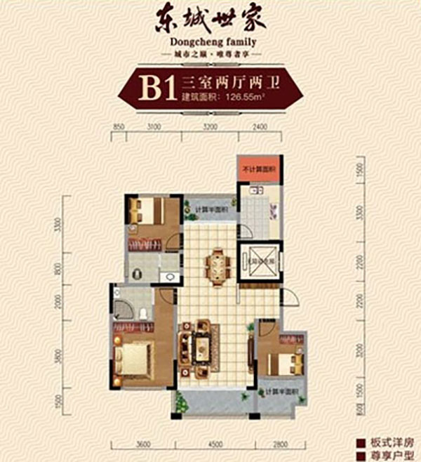 石门县东城世家B1户型