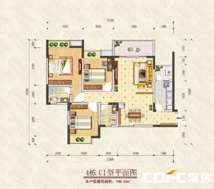临澧县第一书香C1户型
