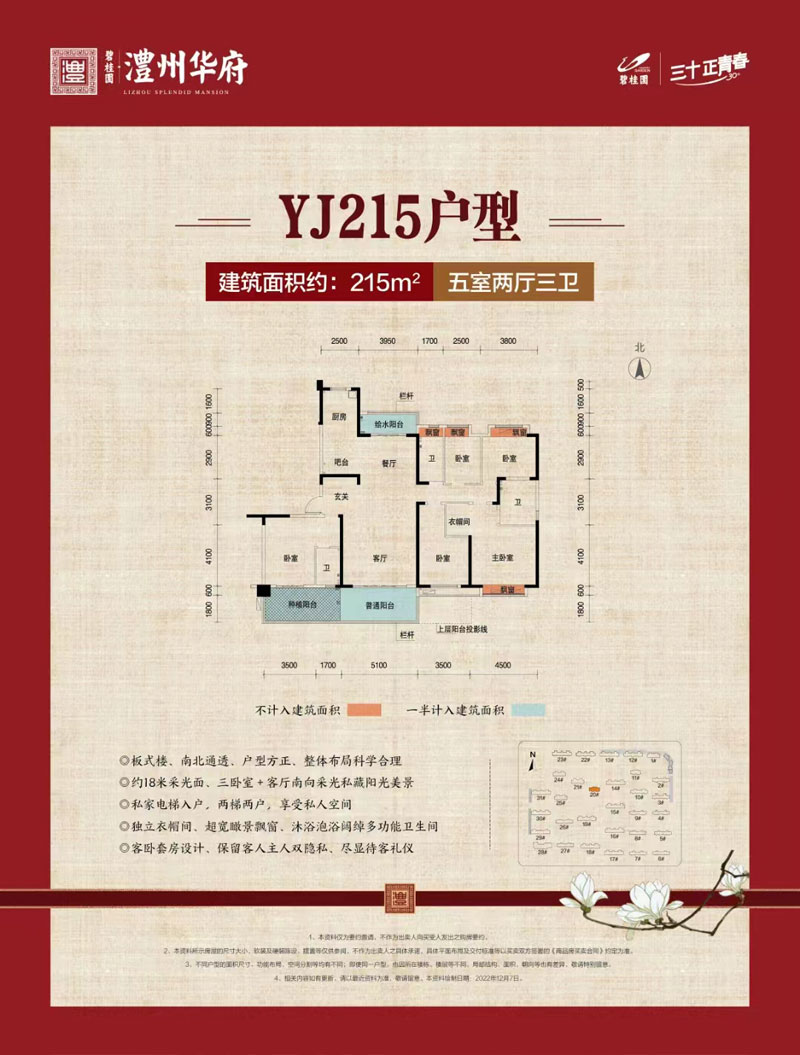 澧县碧桂园澧州华府YJ215户型