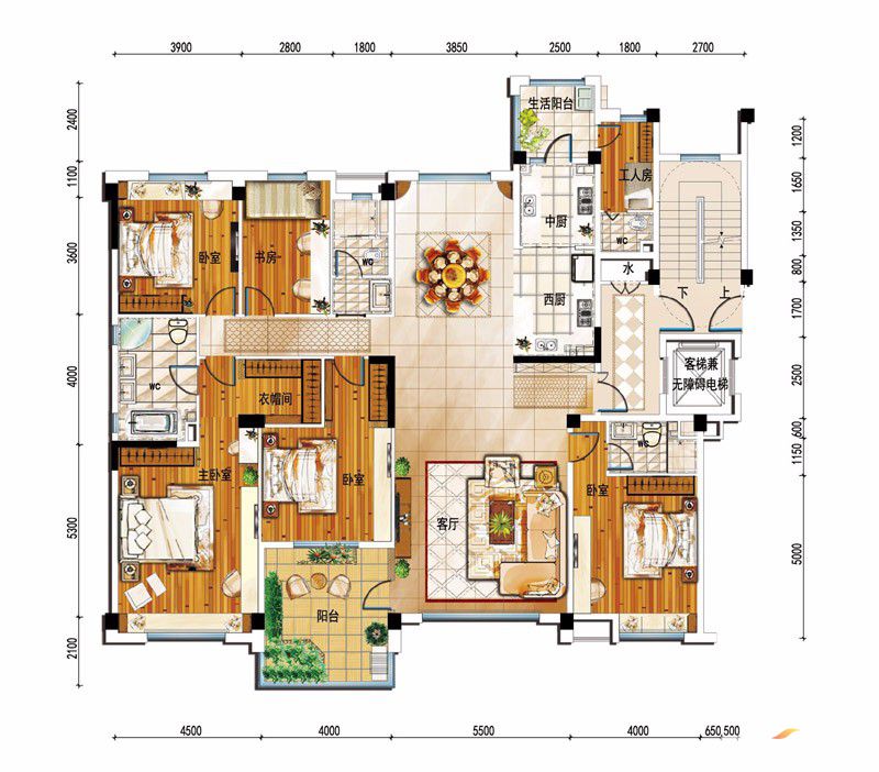 常德市碧桂园YJ245T户型