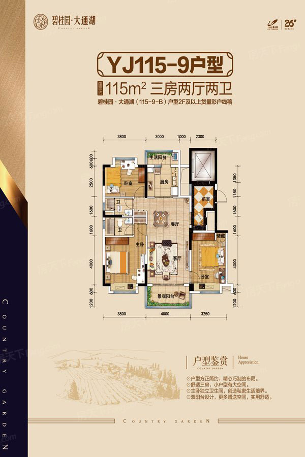 高新区大通湖碧桂园YJ115户型