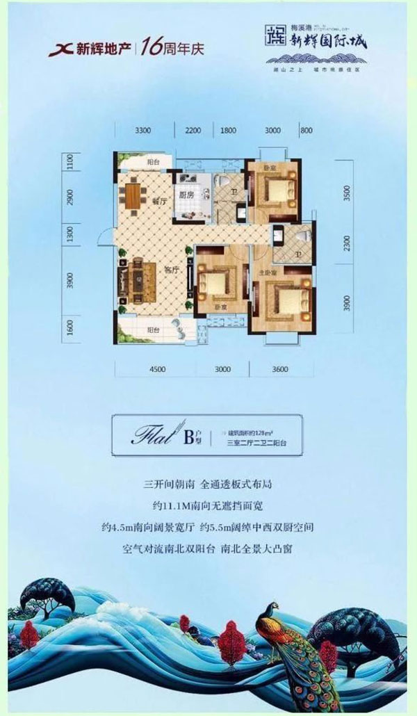 岳阳楼区新辉国际城B户型