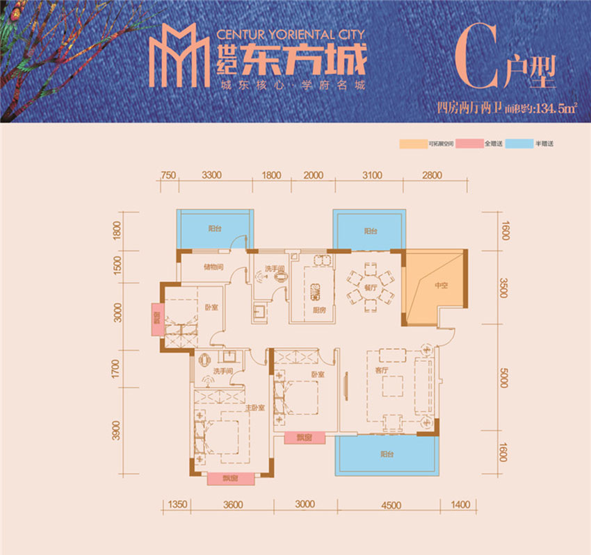 常宁市世纪东方城C户型