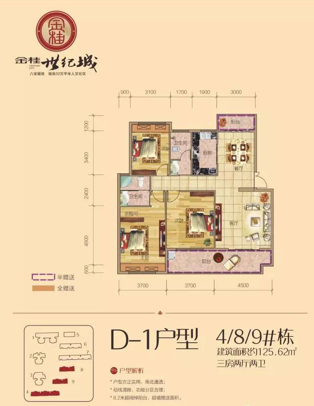 桂阳县金桂世纪城D-1户型