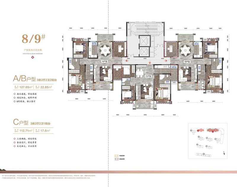 安仁县天心佳园9栋A户型