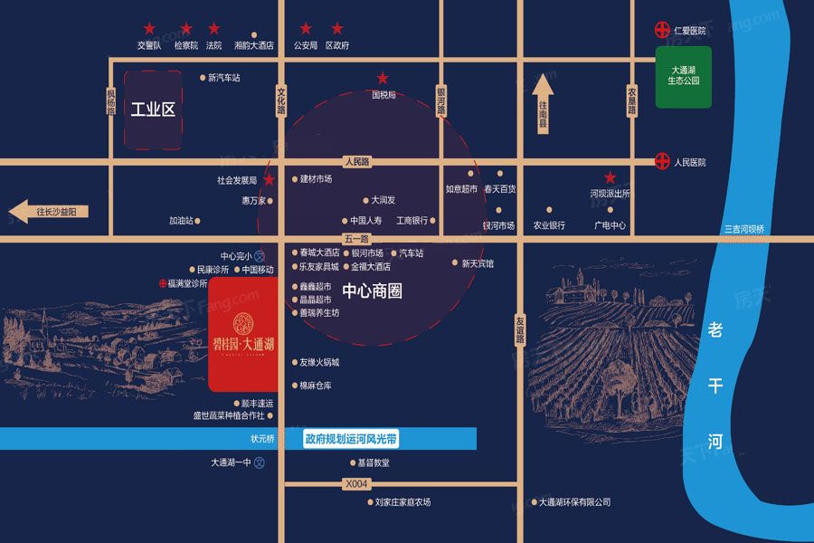 高新区大通湖碧桂园区位图