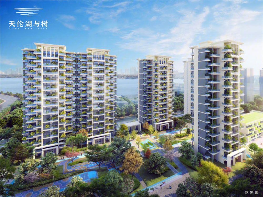 岳阳楼区天伦湖与树实景图