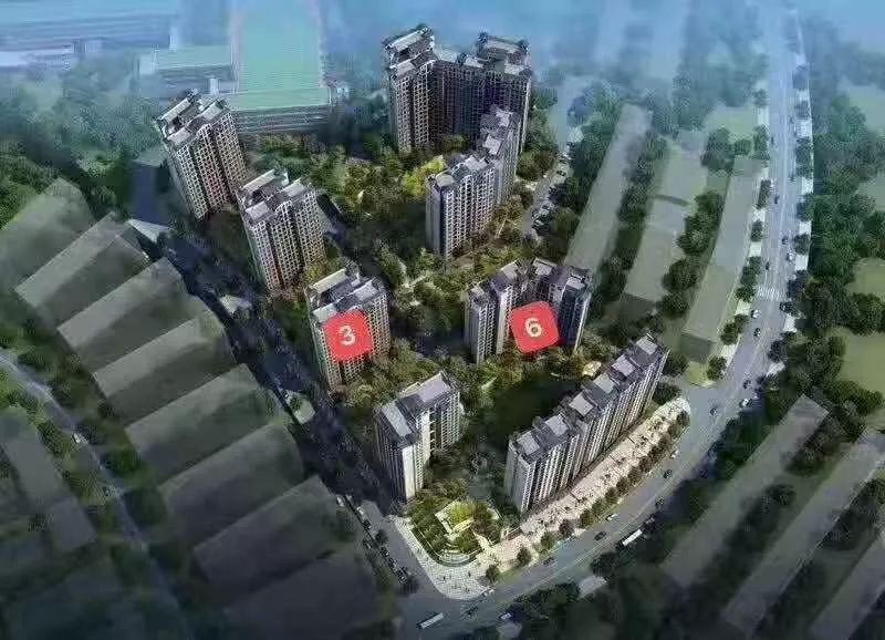 桂阳县德泰宝领嘉园实景图