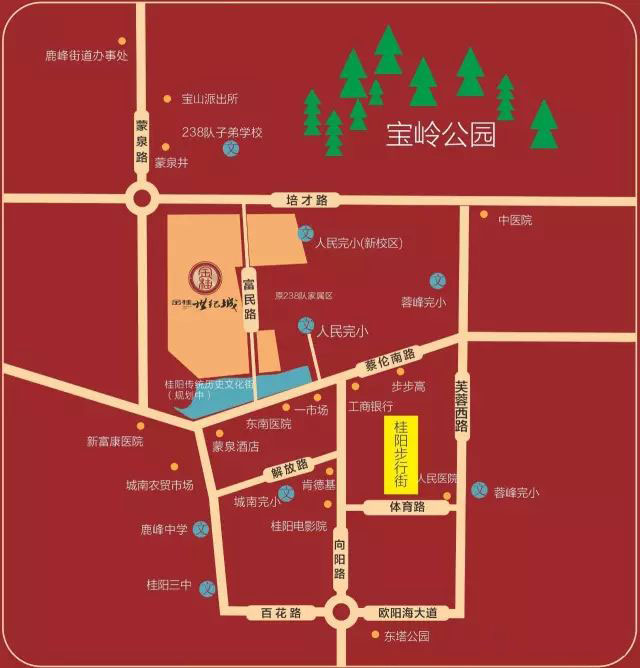 桂阳县金桂世纪城区位图