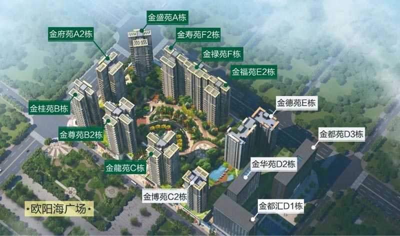 桂阳县耀华金都汇实景图