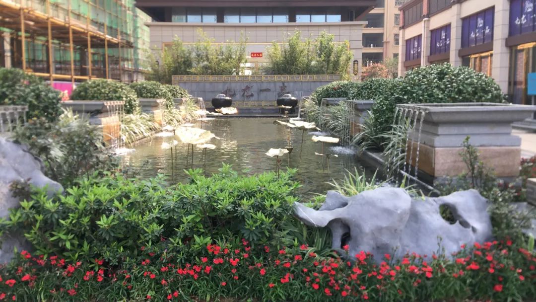 安仁县九龙一品实景图