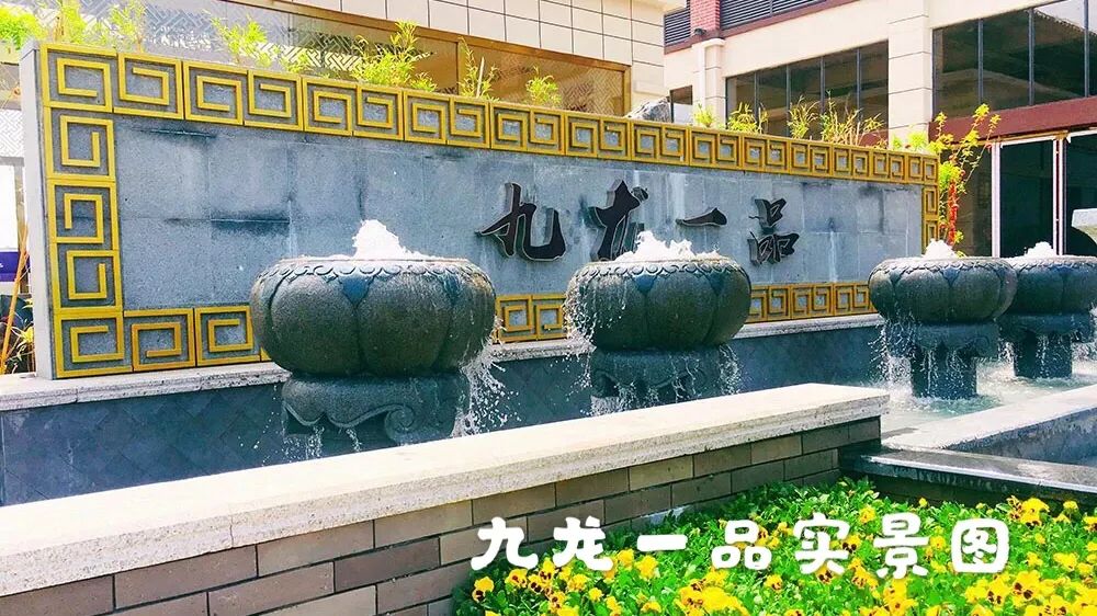 安仁县九龙一品配套图