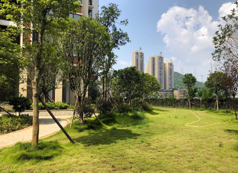 苏仙区东岭嘉园配套图